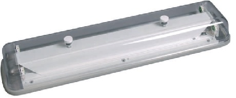 FLC29-2.jpg